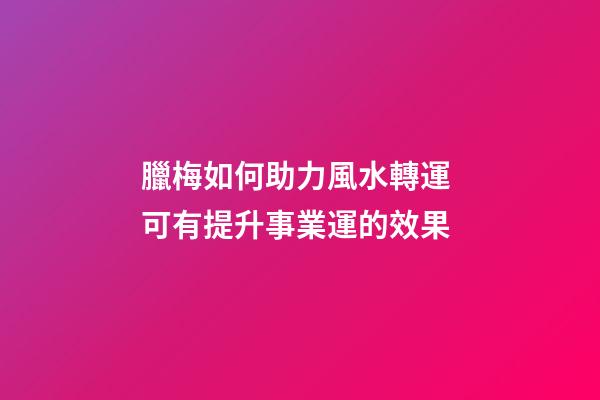 臘梅如何助力風水轉運 可有提升事業運的效果